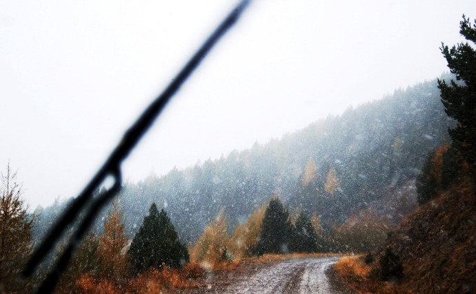 В десяти районах Сахалинской области ожидается сильный дождь и мокрый снег В десяти районах Сахалинской области ожидается сильный дождь и мокрый снег