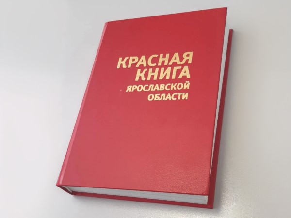 Темную улитку и малого лебедя внесут в обновленную Красную книгу Ярославской области