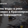 Уровень воды в реке Минусинке в Красноярском крае не повышается...