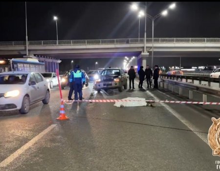 Под Уфой автомобилист задавил молодого мужчину