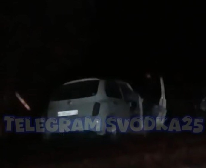 Жуткое зрелище: три трупа в машине сняли очевидцы на месте страшного ДТП в Приморье