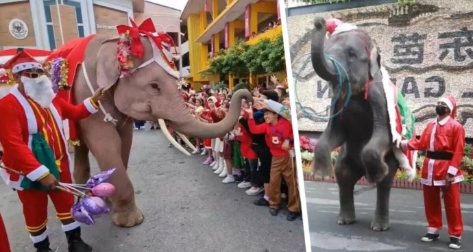 Зимняя сказка по-тайски: Встречаем Новый 2026 год на Пхукете Зимняя сказка по-тайски: Встречаем Новый 2026 год на Пхукете