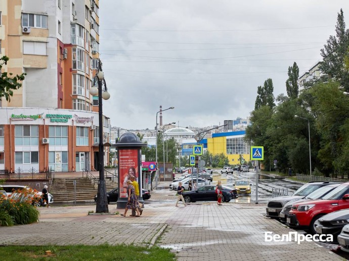 В Белгородской области спишут долги по транспортному налогу погибших участников СВО
