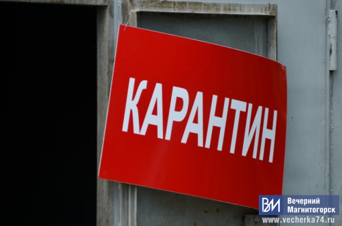 В Челябинской области объявлен карантин