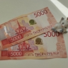 Как в 2025 году получить разовую пенсионную выплату