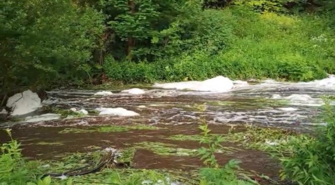 Родник в Малых Рябях оказался загрязнен сточными водами