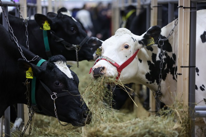 В СФ отметили большой потенциал малых сельхозпредприятий