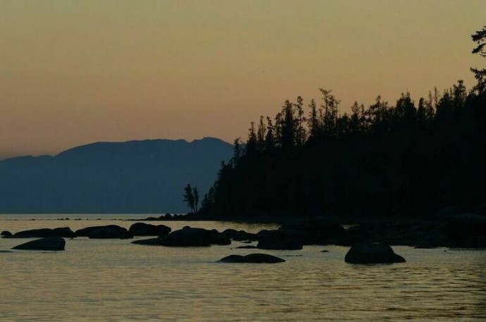 Госдума рассмотрит вопрос о запрете рубок леса на Байкале