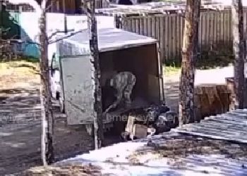 В Приамурье на видео попало «создание» свалки