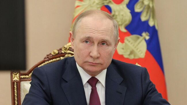 Российские пограничники не раз героически проявили себя в СВО, заявил Путин