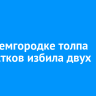 В Академгородке подростки избили двух сестер