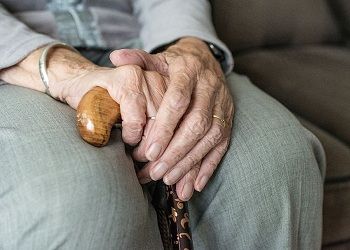 QR вместо «корочки»: Соцфонд упростил жизнь амурским пенсионерам QR вместо «корочки»: Соцфонд упростил жизнь амурским пенсионерам