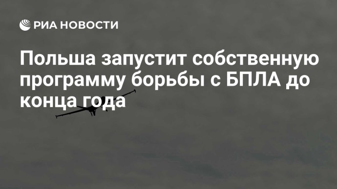 Польша запустит собственную программу борьбы с БПЛА до конца года