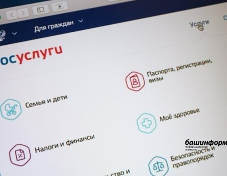 Жители Башкирии могут оформить статус малоимущих на Госуслугах