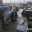 Губернатор Гладков призвал сформировать новые меры поддержки белгородского бизнеса