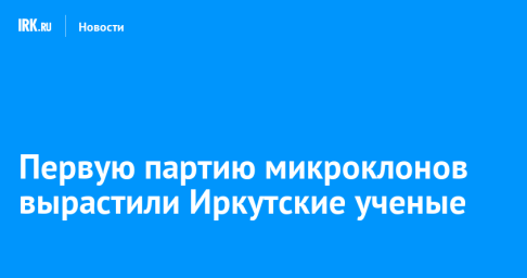 Первую партию микроклонов вырастили иркутские ученые