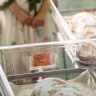 Более 4,5 тысячи семей в Приамурье получили единовременное пособие на первого ребенка