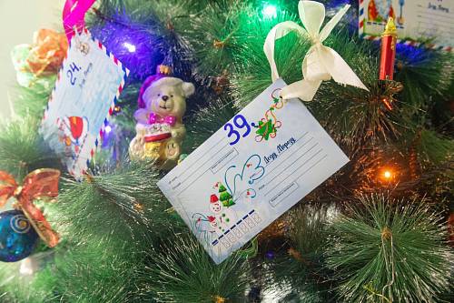 В Благовещенске запустят традиционную акцию «Елка желаний»