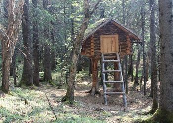 Амурчане-путешественники могут побороться за три миллиона