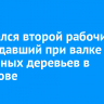Скончался второй рабочий, пострадавший при валке аварийных деревьев в Шелехове