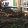 В Астрахани обновляют дорожную разметку перед зимой