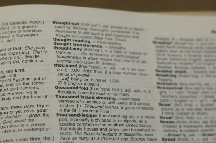 Слово «вайб» может войти в толковые словари