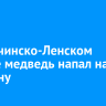 В Казачинско-Ленском районе медведь напал на мужчину