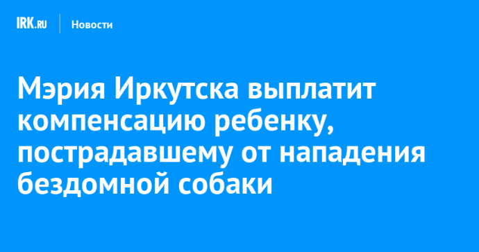 Мэрия Иркутска выплатит компенсацию ребенку, пострадавшему от нападения бездомной собаки