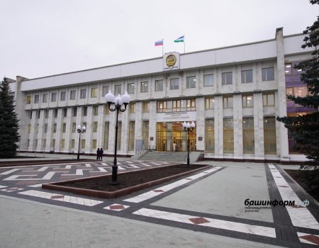 Парламент Башкирии предложил Госдуме ввести новые формы приема граждан