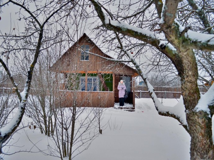 Секреты зимостойкости сада: как не потерять богатый урожай весной Секреты зимостойкости сада: как не потерять богатый урожай весной