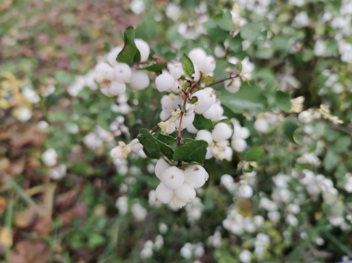 Жителей Башкирии экстренно предупредили об опасности