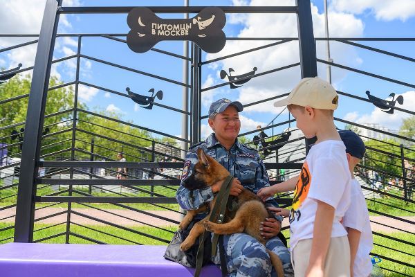 В столице пройдёт первый чемпионат на «Кубок столицы» по спортивной дисциплине обидиенс