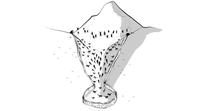 Древних охотников на викуний вычислили по космоснимкам