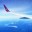 Росавиация пригрозила сократить число рейсов Turkish Airlines