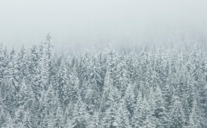 В Южно-Сахалинске ввели режим повышенной готовности из-за надвигающейся метели В Южно-Сахалинске ввели режим повышенной готовности из-за надвигающейся метели