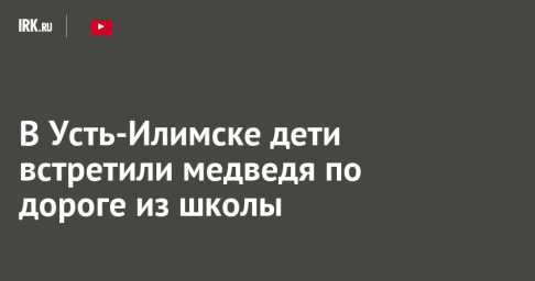 В Усть-Илимске дети встретили медведя по дороге из школы