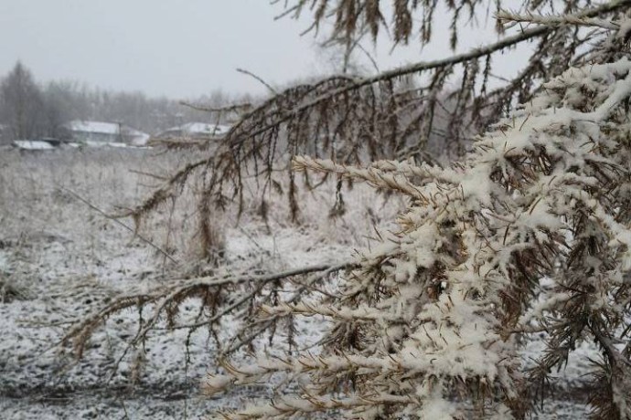 В Пермском крае пропала туристическая группа из Екатеринбурга В Пермском крае пропала туристическая группа из Екатеринбурга