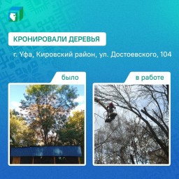 В Уфе по просьбе родителей кронировали деревья у детсада