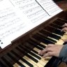 В Петергофе впервые пройдет Летний фестиваль фортепианной музыки Pianissimo