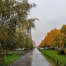 Синоптик Леус: Температура в Москве вернется к климатической норме 17 октября