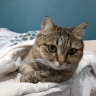 Овнам не стоит напрягать мозги и мышцы, Козерогам пора выкинуть хлам