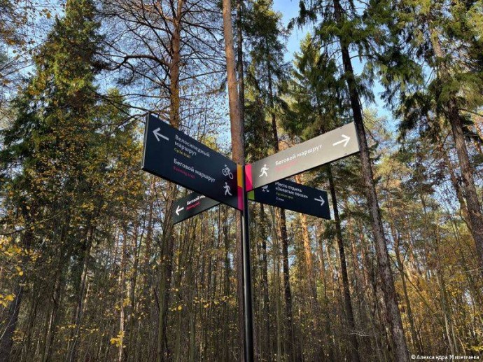 В 2026 году в парке Балатово откроется зона фудкорта