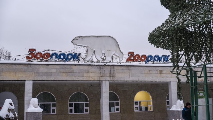 Ленинградский зоопарк будет закрыт для посетителей 10 ноября