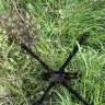 Рыльск трижды подвергся атаке украинских FPV-дронов