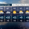 29 марта в Петербурге ожидается 11 градусов тепла