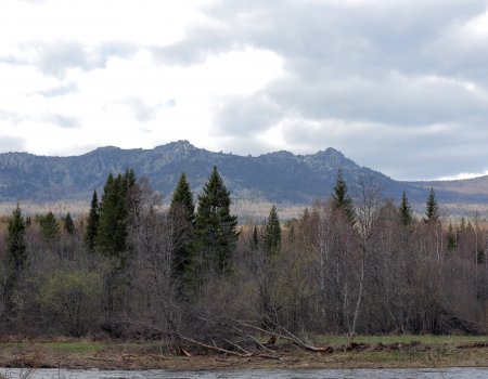 Столбики термометров в Башкирии поднимутся до +10 градусов Столбики термометров в Башкирии поднимутся до +10 градусов
