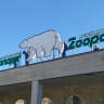 Ленинградский зоопарк приостановил работу из-за погодных условий