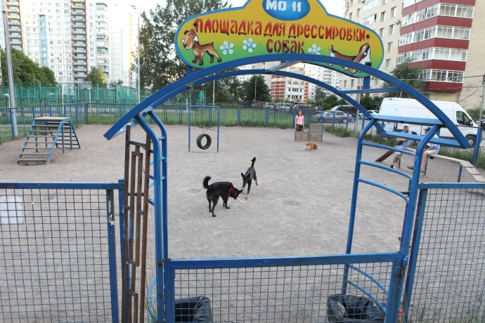 Площадки для собак обустроят по ГОСТу Площадки для собак обустроят по ГОСТу