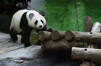 Московский зоопарк переходит на зимний режим работы