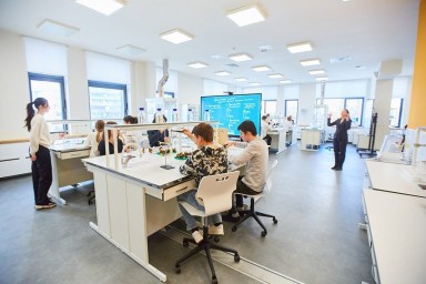 Правительство запланировало усовершенствовать защиту интеллектуальной собственности